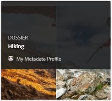 Le mode Carte affiche le profil de métadonnées appliqué à un dossier.