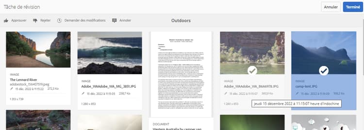 review_task_collection