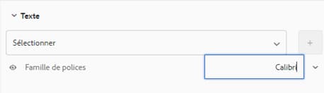 Saisie et sélection d’une police dans l’éditeur de thèmes