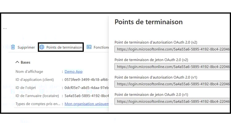 Utilisez l’option Points d’entrée de l’interface utilisateur de l’application Microsoft Power Automate pour trouver l’URL OAuth.