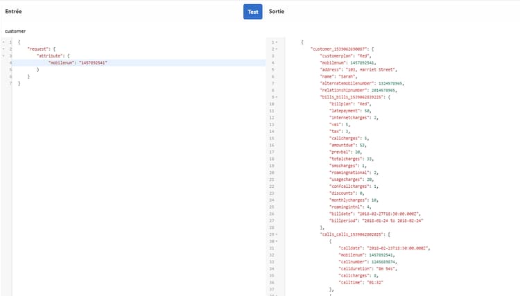 Tester le modèle de données