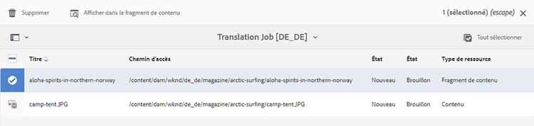 Options de tâche de traduction