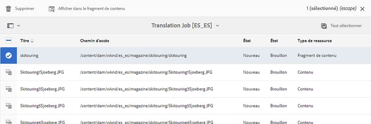 Options de tâche de traduction