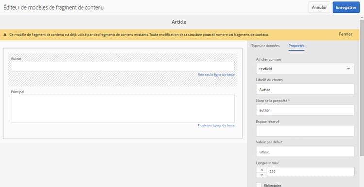 Détail de l’Éditeur de modèles de fragment de contenu