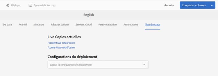 Onglet de plan directeur