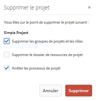 Options de suppression de projet