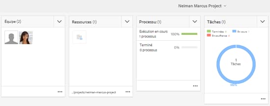 Page Projet avec le nouveau workflow