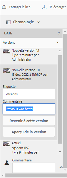 Sélectionner une version pour y revenir