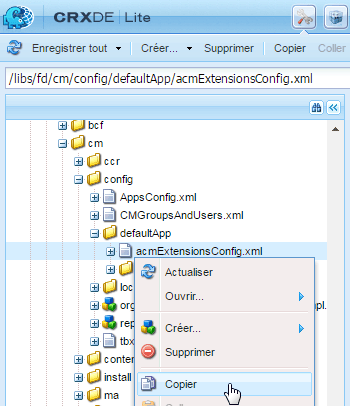 Copie du fichier acmExtensionsConfig.xml