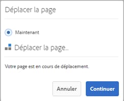 Capture d’écran illustrant le problème NPR-33831 concernant le chevauchement de boîtes de dialogue lors d’un déplacement