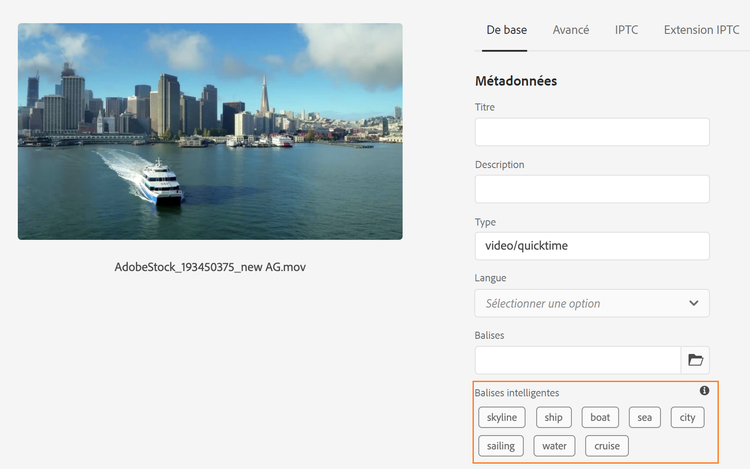 Elles sont ajoutées aux vidéos et affichées dans l’onglet Simple des propriétés de la ressource.