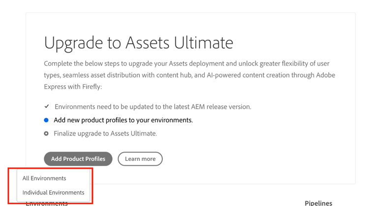 Options de mise à niveau AEM Assets