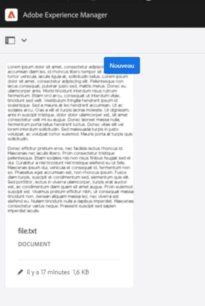 Un rendu d’un fichier TXT est automatiquement généré par Assets au format PNG