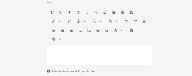 Prise en charge de texte enrichi