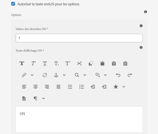 Prise en charge du texte enrichi pour les options