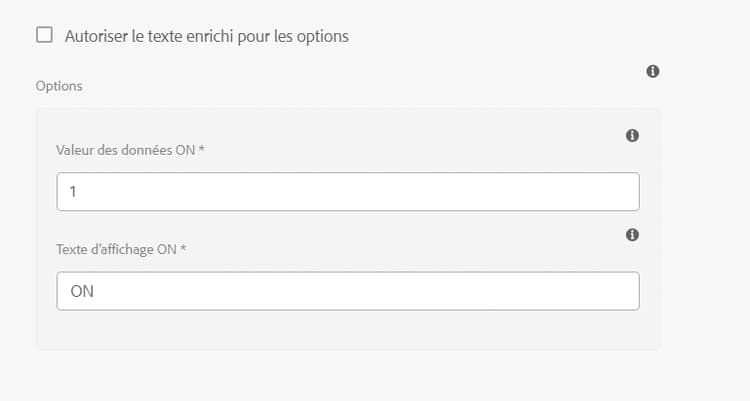 Prise en charge du texte enrichi pour les options
