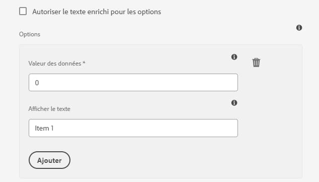 Prise en charge du texte enrichi pour les options