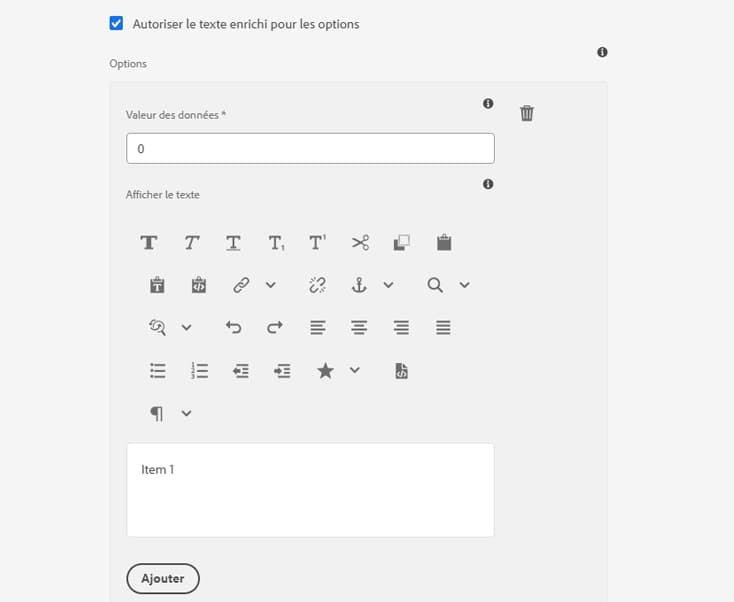 Prise en charge du texte enrichi pour les options