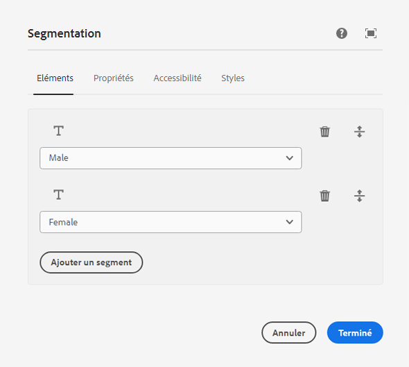 Onglet Éléments de la boîte de dialogue de configuration du composant Segmentation d’e-mail