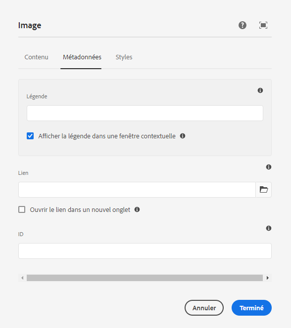 Onglet Métadonnées de la boîte de dialogue de configuration du composant Image