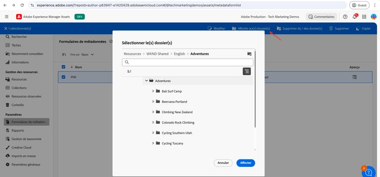 Application de schéma de métadonnées
