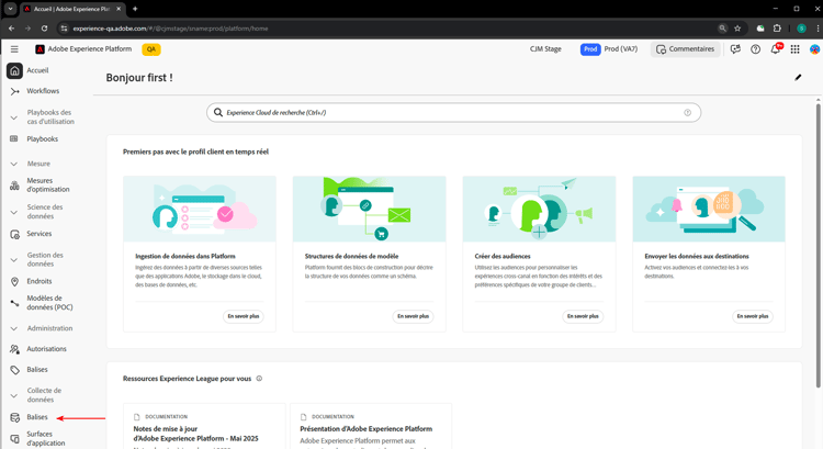Adobe Experience Platform Tags