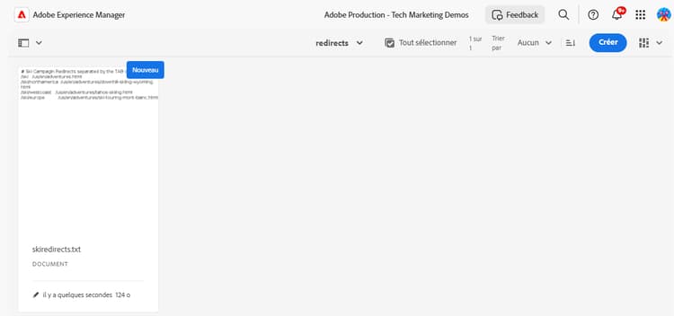 Fichier texte dans la gestion des ressources numériques