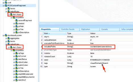 Index sur le type de nœud dam:Asset