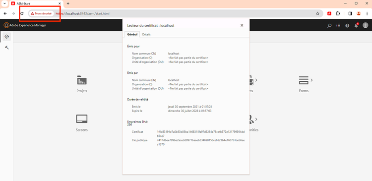 Configuration SSL - Vérification d’AEM via HTTPS.