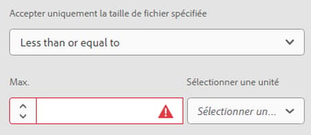 Accepter uniquement la taille de fichier spécifiée.