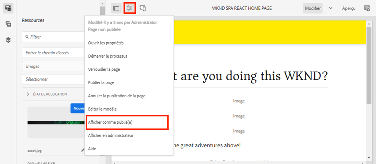 Bouton Afficher comme publié.