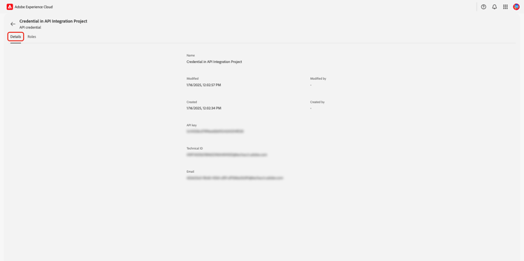Espace de travail des détails des informations d’identification de l’API.