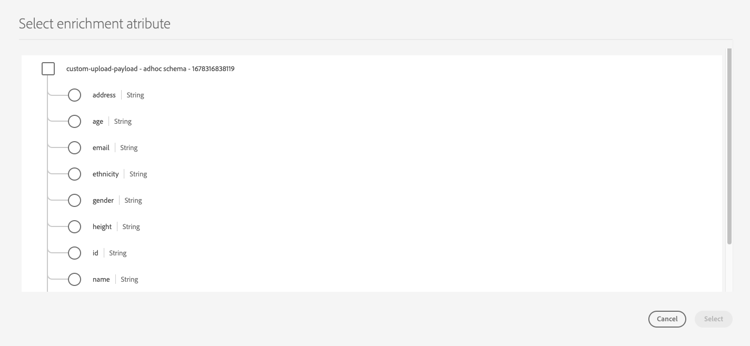 Image de l’interface utilisateur affichant la liste des attributs d’enrichissement.