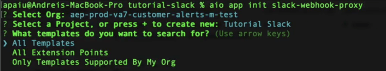 Terminal affichant la sélection d’organisations et de projets, et uniquement les modèles pris en charge par mon organisation.