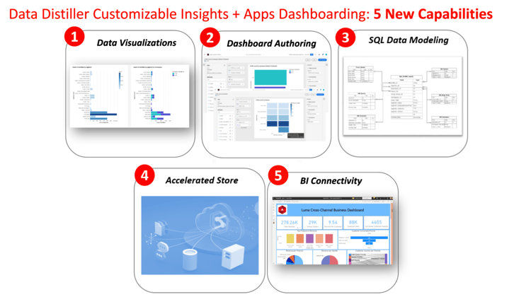 Représentations visuelles des fonctionnalités clés de Data Distiller Customizable Insights.