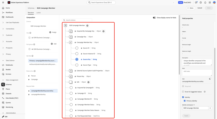 Zone de travail des schémas affichant la structure complète du schéma avec les groupes de champs standard et personnalisés développés.