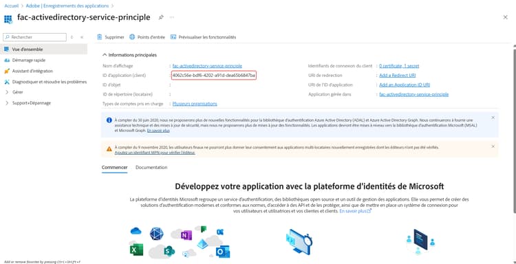 L’identifiant (client) d’application dans la page de vue d’ensemble est mis en surbrillance.