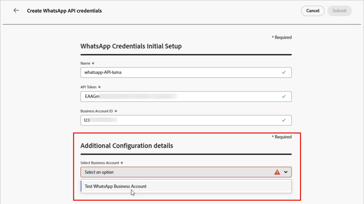 Sélectionnez le compte professionnel à l’aide des informations d’identification de l’API des paramètres WhatsApp