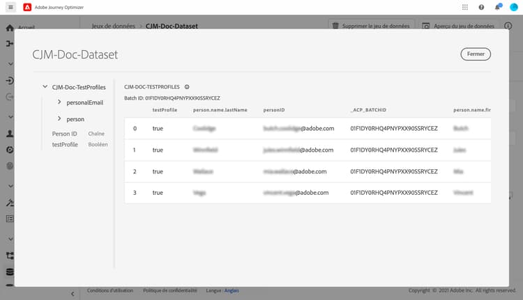 Aperçu du jeu de données affichant les profils de test importés