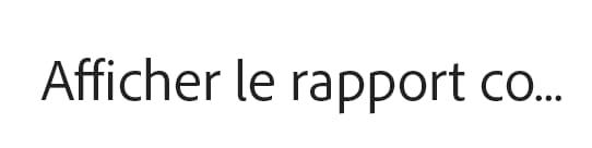 Rapport complet