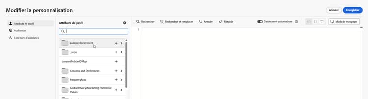 Interface de personnalisation des attributs de profil