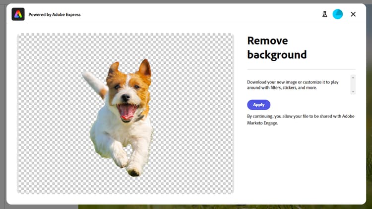 Image d’un chien avec un arrière-plan supprimé
