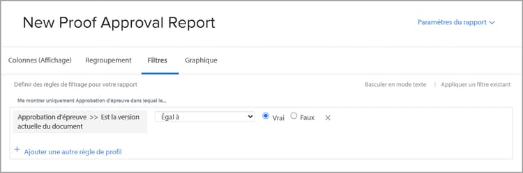 Onglet Filtres de Report Builder