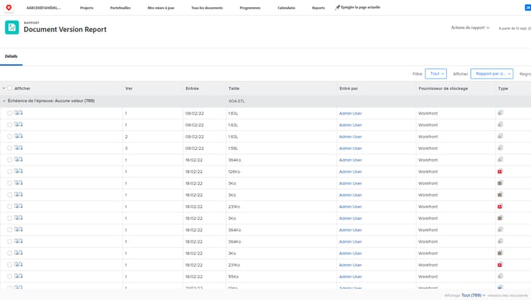 Une image d’un rapport de version de document dans Workfront.