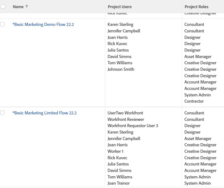 project_with_user_and_role_information_report.png