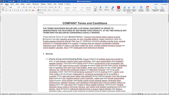 Schermata del documento Termini e condizioni