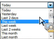 Schermata che mostra lintervallo di date selezionato.