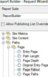 Schermata che mostra la struttura di Windows per la directory di Report Builder. Abbandono pagina selezionato.