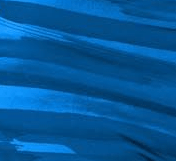 Campione visualizzato nella vetrina