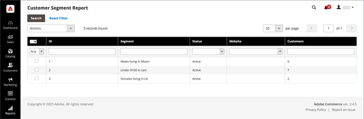 Report segmento cliente